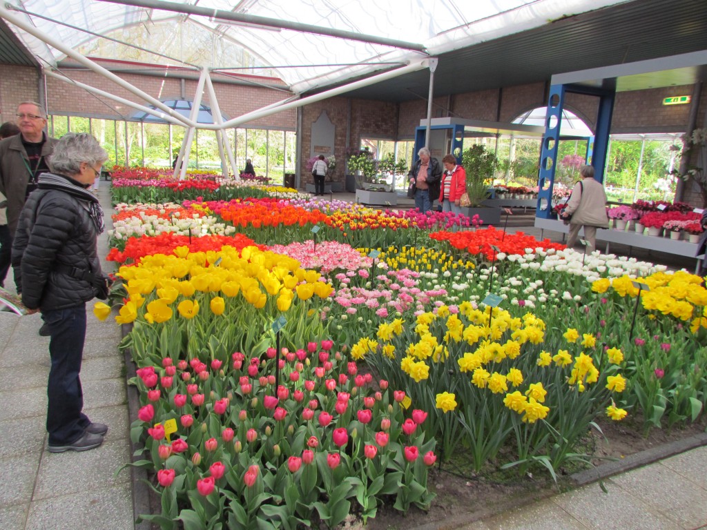Keukenhof Flower Show - Amsterdam, Netherlands