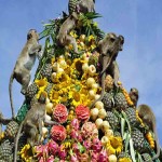 Monkey Buffet Festival - Lopburi Province, Thailand