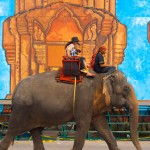Surin Elephant Roundup Parade in Surin Thailand