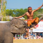 Surin Elephant Festival in Surin Thailand