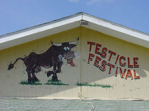 Montana Testicle Festival (Testy Fest) - Clinton, Montana.